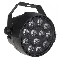 MINI-PAR 12RGBW